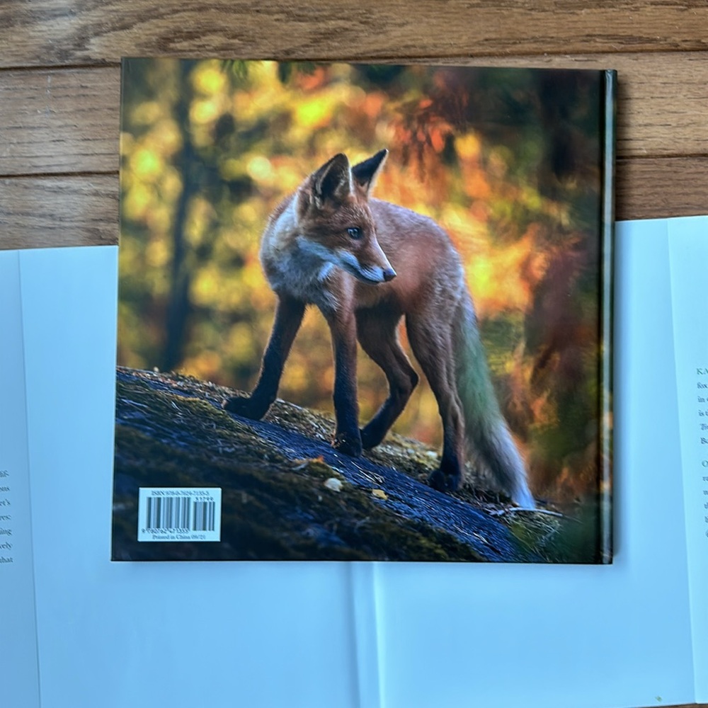 🦊 NEW How To Find A Fox Book Hardcover by Kate Gardner kids book bedtime story - Picture 12 of 13